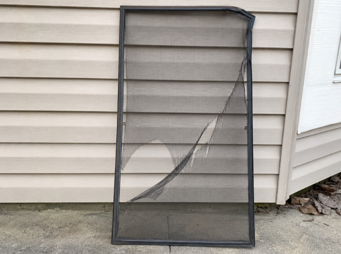 Screen Repair before